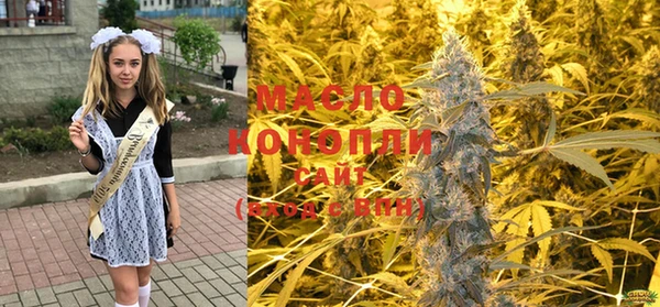 тгк Алексин