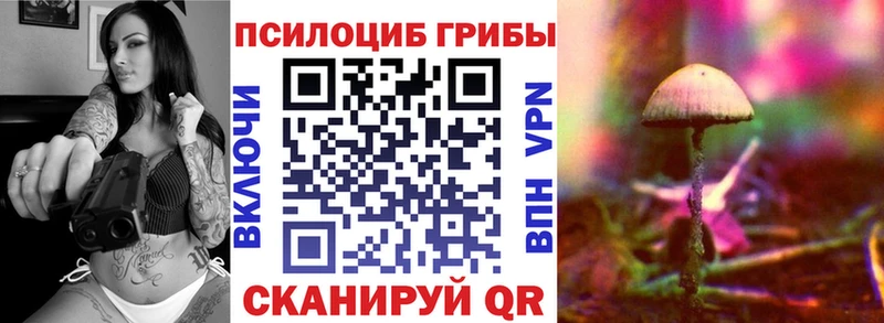 Галлюциногенные грибы MAGIC MUSHROOMS  как найти закладки  Краснообск 